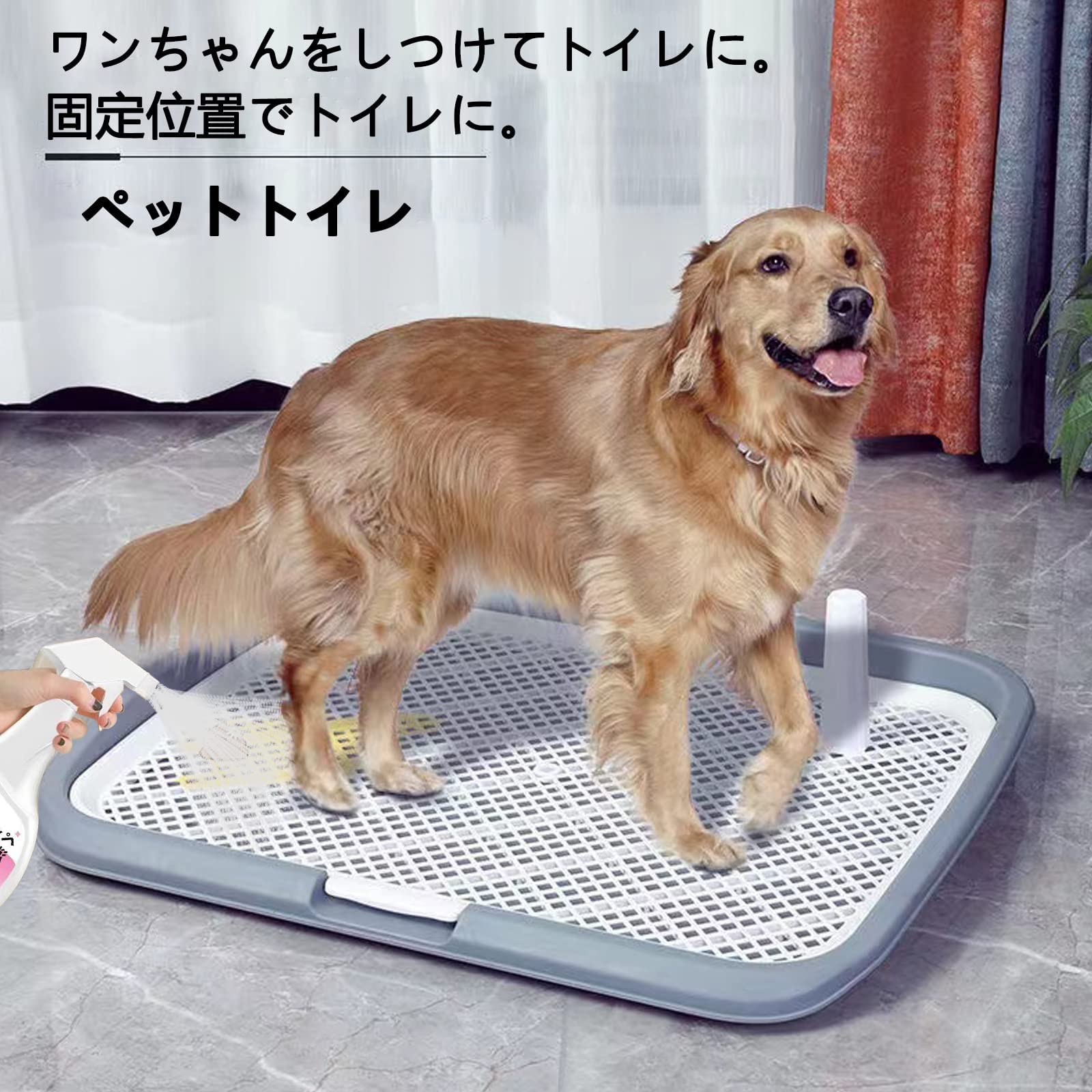 Amazon | HeGeed ペットトイレレイー 犬 トイレトレー 65×50CM 大型犬