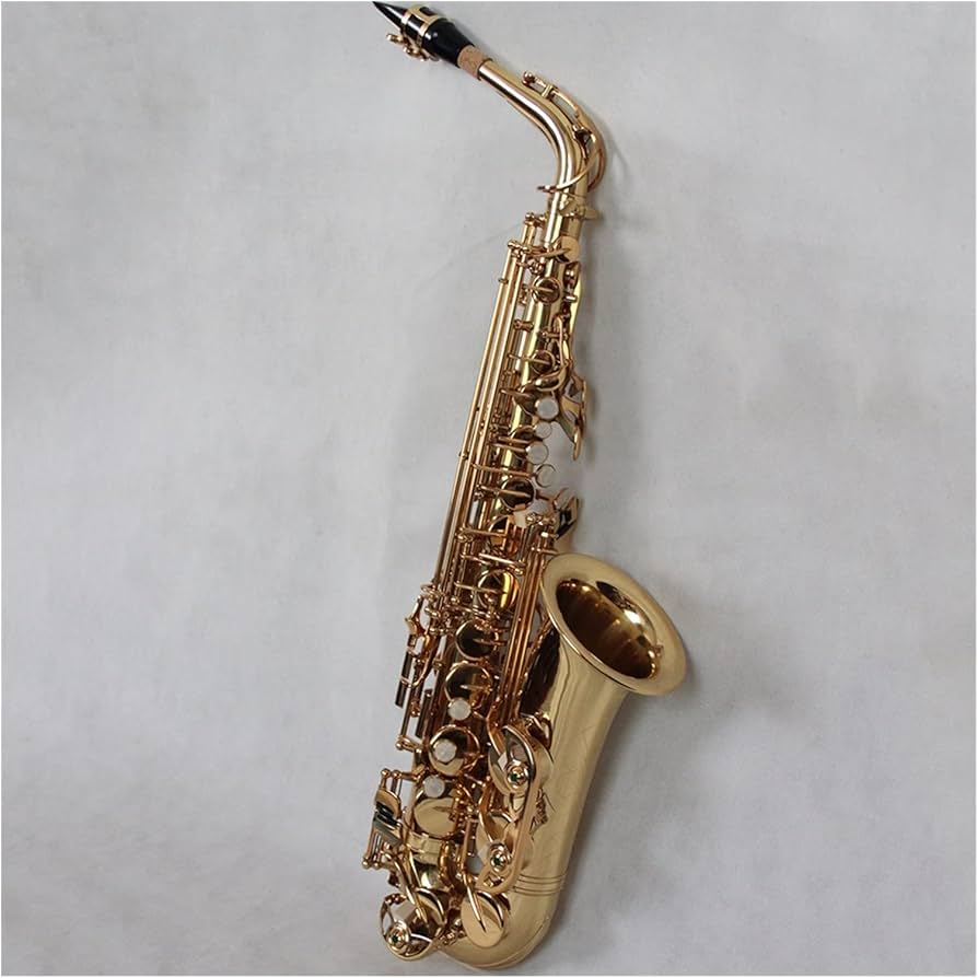 Amazon.co.jp: サックス楽器 高級ゴールドラッカーアルトサックス