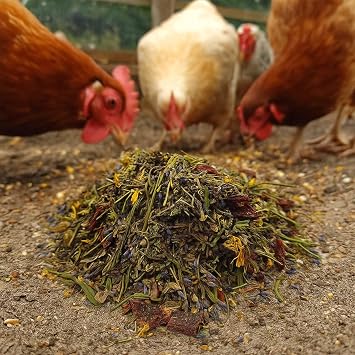 Herbal Hootenanny Chicken Nesting Herbs 16oz - Chicken Dust Bath Mix Deodorizer Keeps Nest Boxes & Coop Fresh - Chicken Coop Herbs - Chicken Accessories for Coops (16 oz)