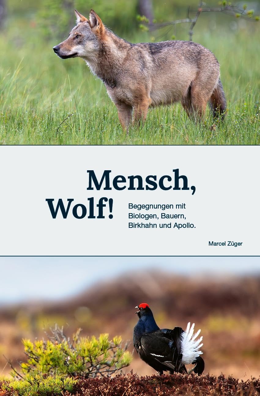 Mensch, Wolf!: Begegnungen mit Biologen, Bauern, Birkhahn und Apollo