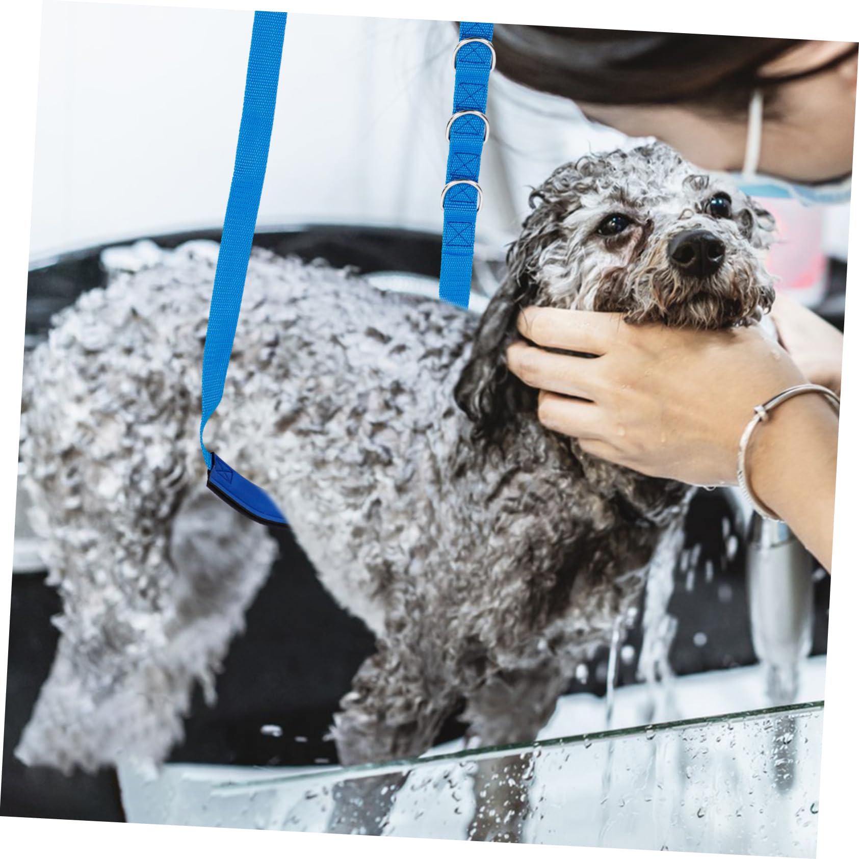 BESPORTBLE 15stücke Teiliges Hundezubehör Verstellbaren Gurten Für Fellpflege Sicheres Und Bequemes Grooming Für Hunde Für Haustierpflege Und Badetage