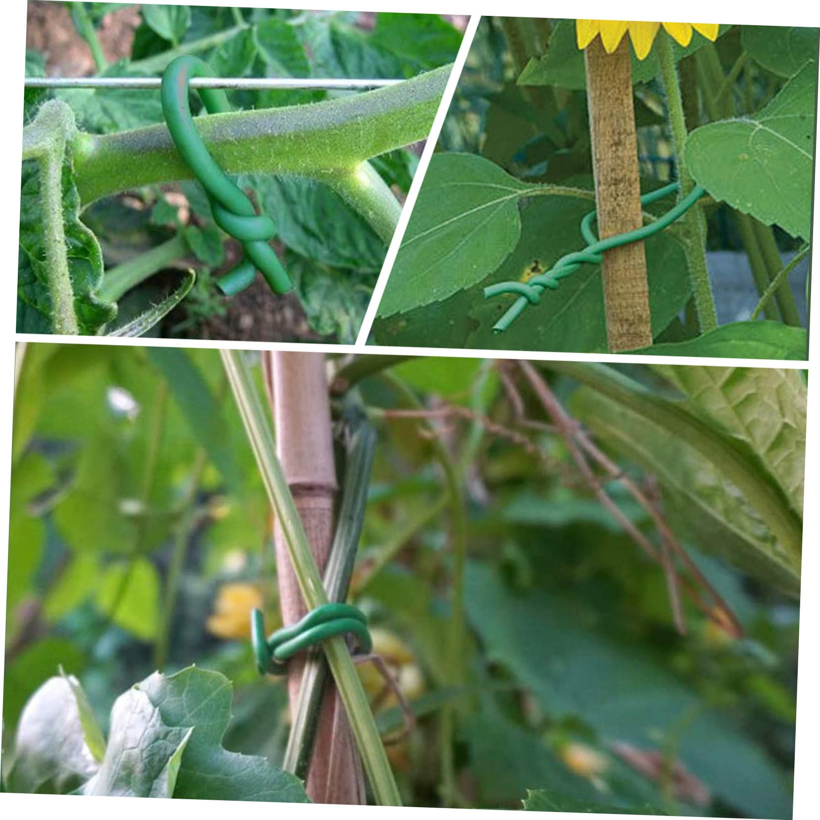 Praktischer Gartenpflanzen Bindedraht Wiederverwendbarer Flexibler Pflanzendraht aus TPR und Eisen für Rankhilfen und Zweigfixierung Hautfreundlich Vielseitig Einsetzbar
