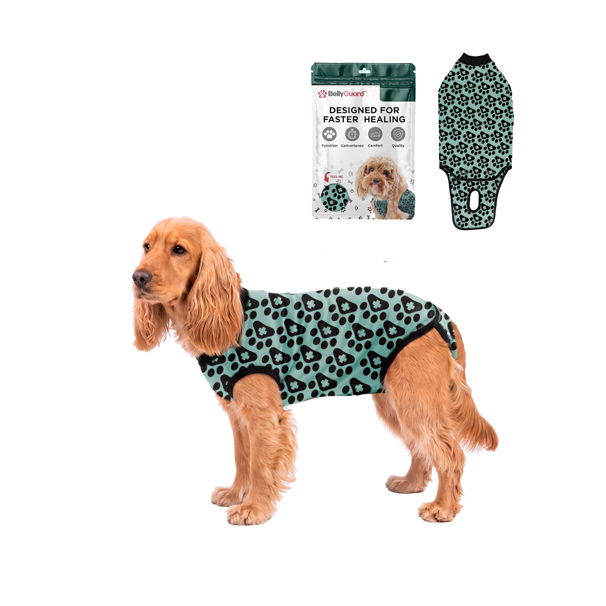 BellyGuard Dog Surgery Recovery Suit, Male Female After Spay Neuter Onesie