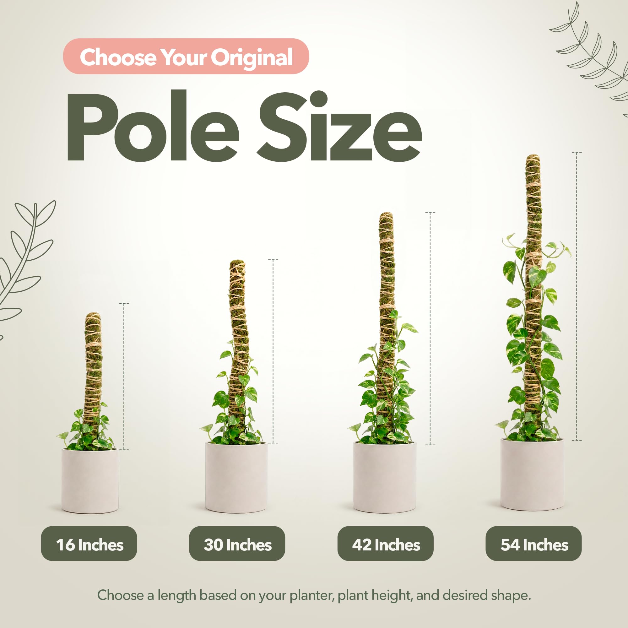 Mossify Poteau en mousse pliable de 137,2 cm pour plantes grimpantes d'intérieur – Poteau en mousse 100 % cultivée de manière durable pour croissance en intérieur – Support flexible fait à la main