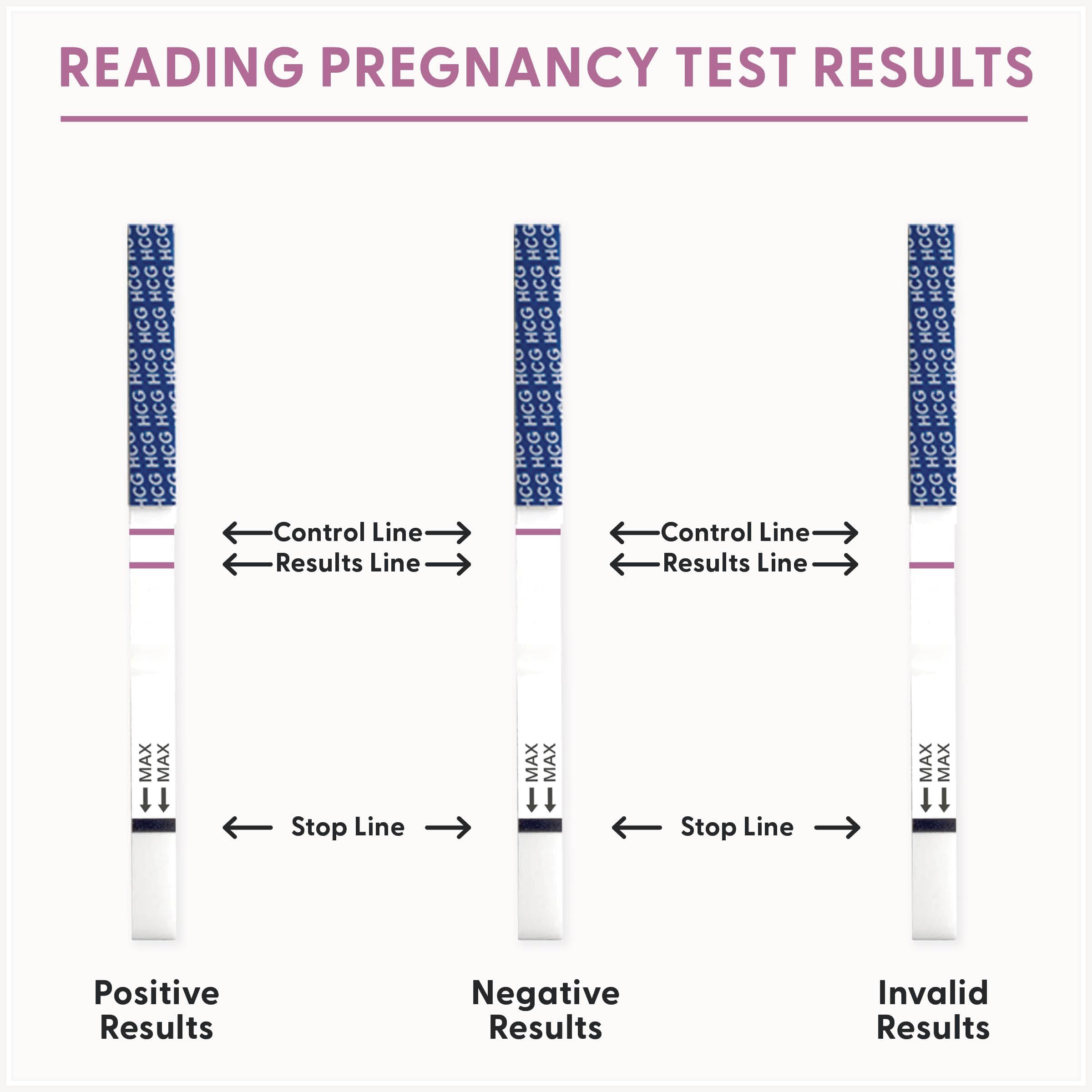 Fairhaven Health, BFP, Ovulation & Pregnancy Test Strips For Trying-To-Conceive Women, 40 Ovulation & 10 Pregnancy Tests
