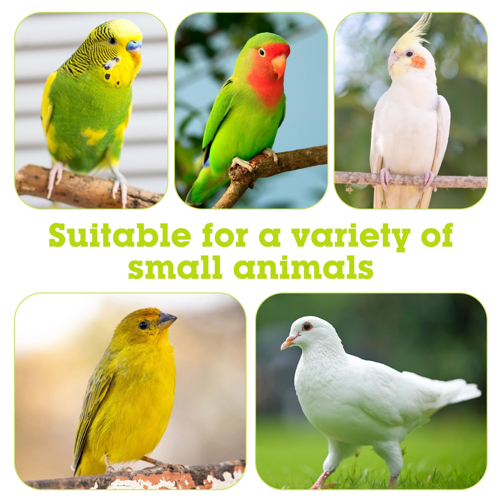 Stainless Steel Bird Bowls for Cage 2 Pcs Parrot Feeding Dish Metal Food and Water Cups Detachable Birds Cage Feeder Hanging Finch Food Plates with Perch for Parakeet Budgie Lovebird (White) - image 7