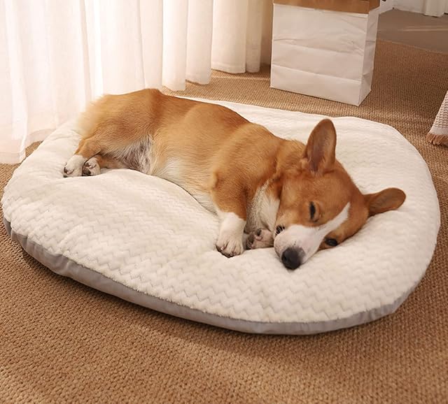 Colchón Ovalado para Cama de Perro, Cama de Perro XL Relajante, tamaño Mediano, Lavable