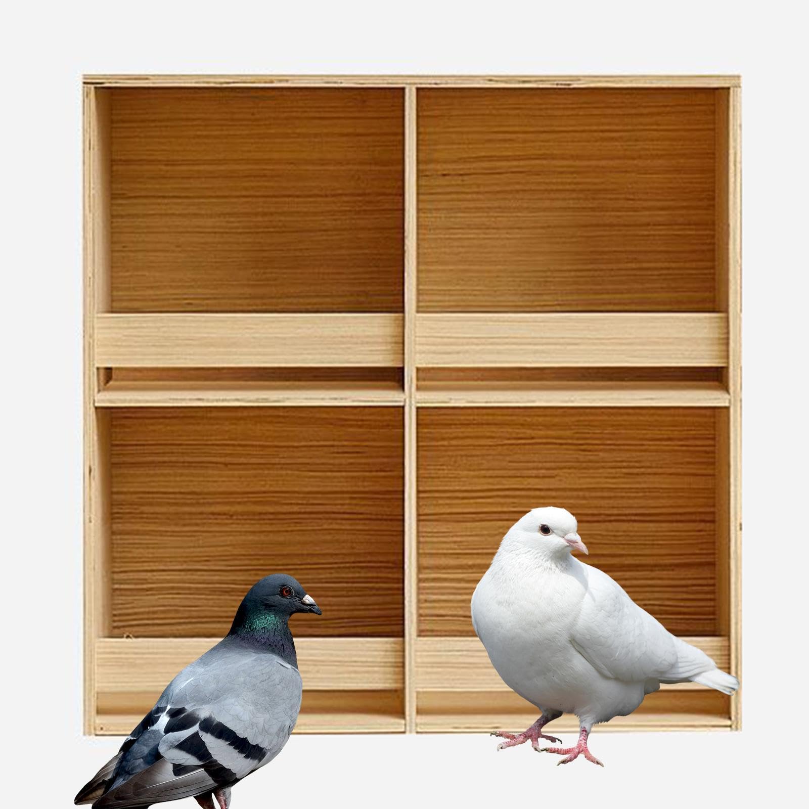 Pigeon Nido Scatola Nidificazione Gabbia Allevamento Legno Contenitore Cibo Porta Uccelli Accesso Facile Adatto per Canarini Pappagalli Cocorite, 4 Griglie 60cmx60cm