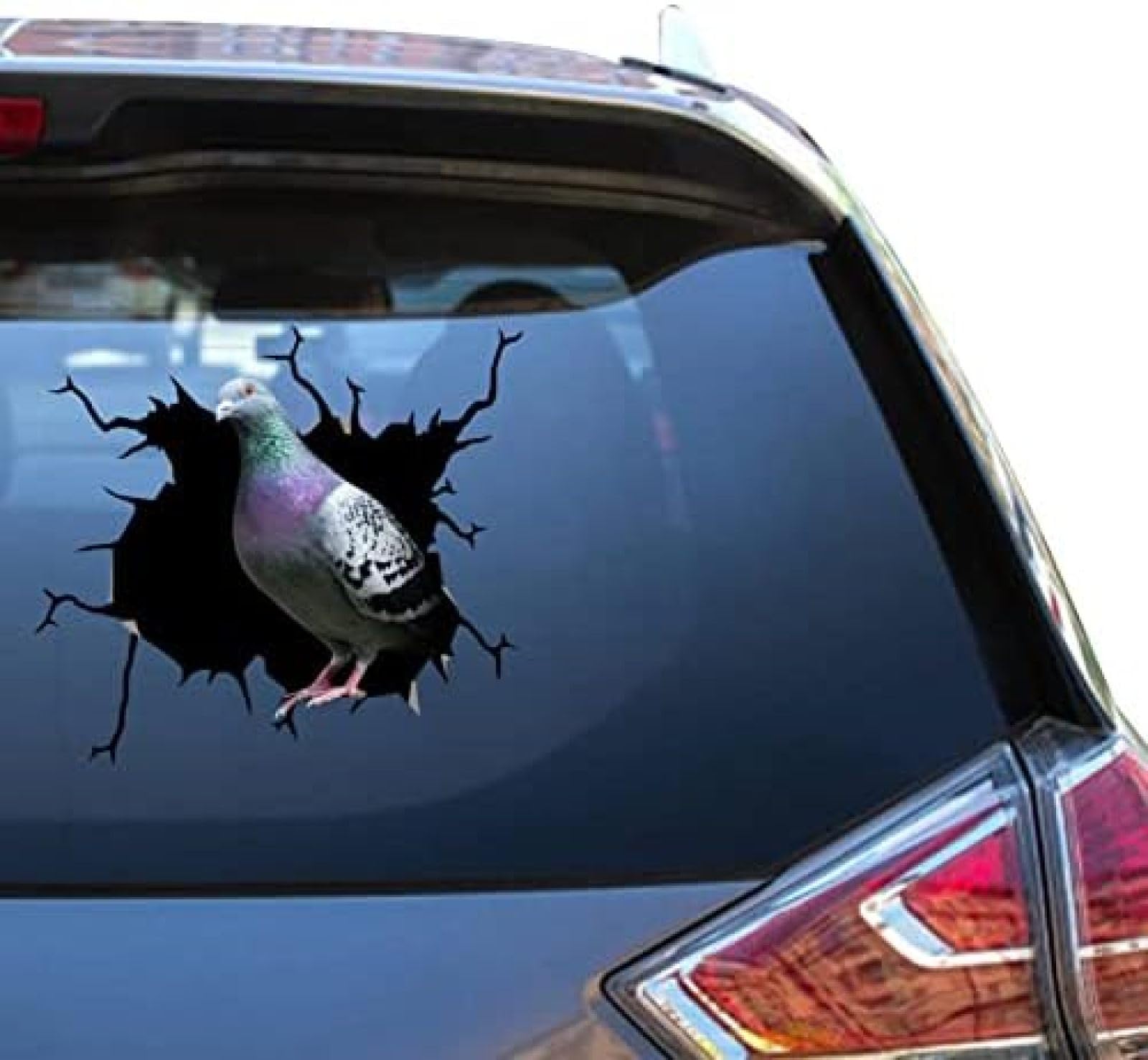 Fastlate 2 Pieces Pigeon Sticker Pigeon Car Decal Funny Face Weatherproof Vehicles Decal For Animal Bumper Office Decals