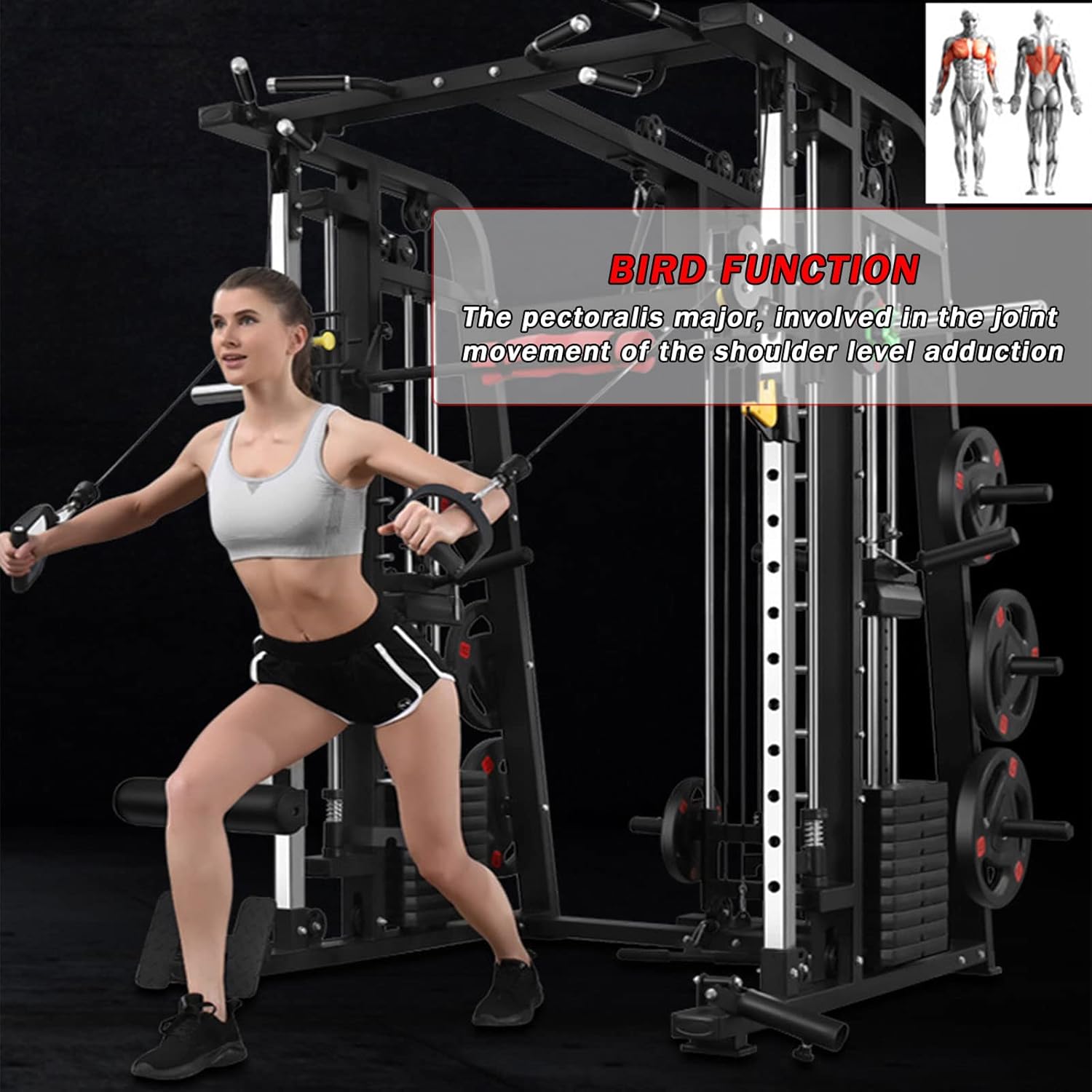 Machine Comprehensive Trainer Bench Press Squat Rack Bird Gantry Multi-Functional Combination Equipment Home Commercial