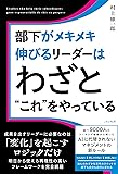 4910786163