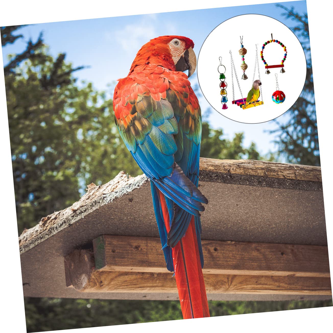 Beavorty 5pièces Jouets Mâcher Oiseaux Perroquets Accessoire Animal Compagnie Jouet Oiseaux
