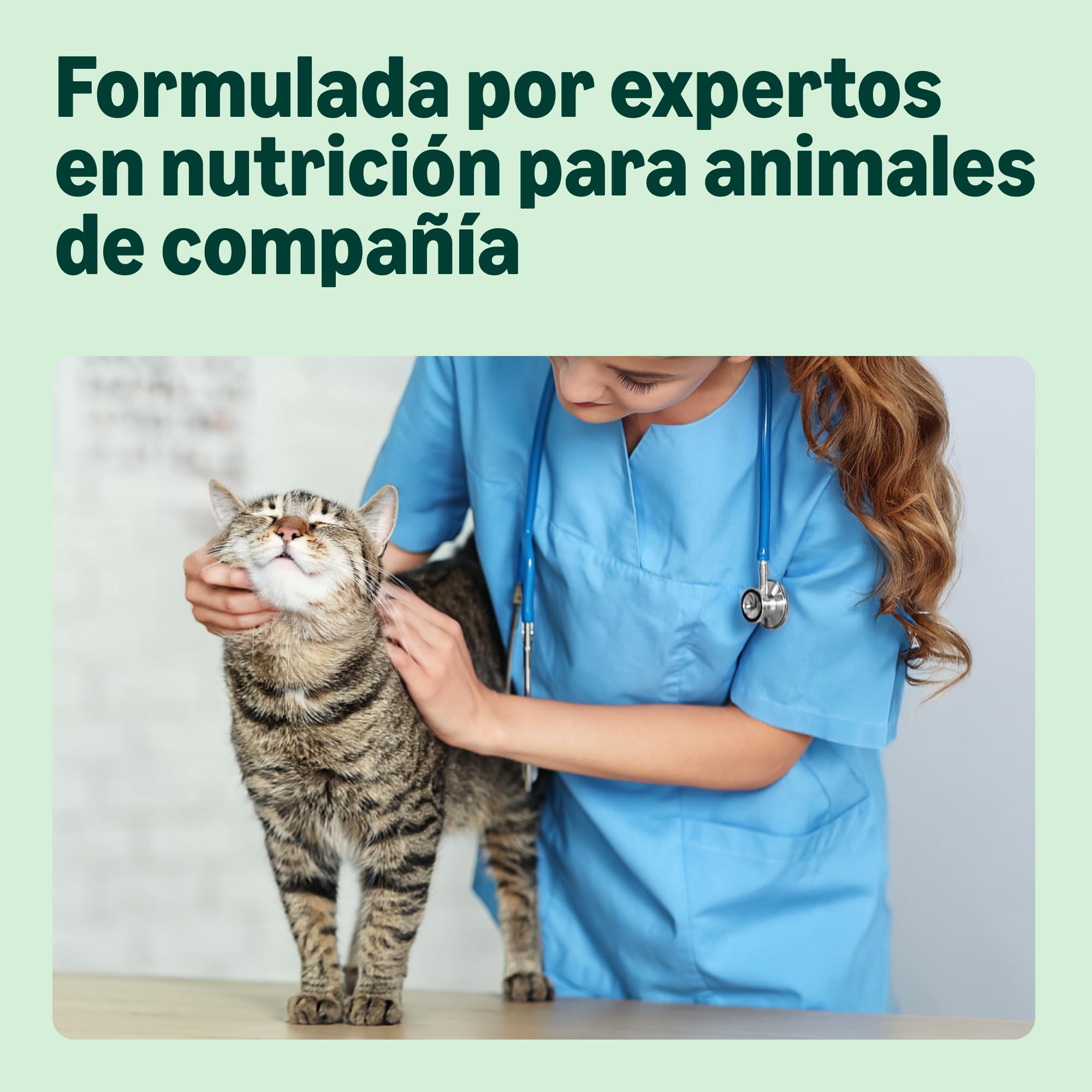 by Amazon Alimento seco completo para gatos adultos rico en pollo y arroz, 10 kg (Paquete de 1) (Anteriormente una marca Lifelong, el mismo producto)