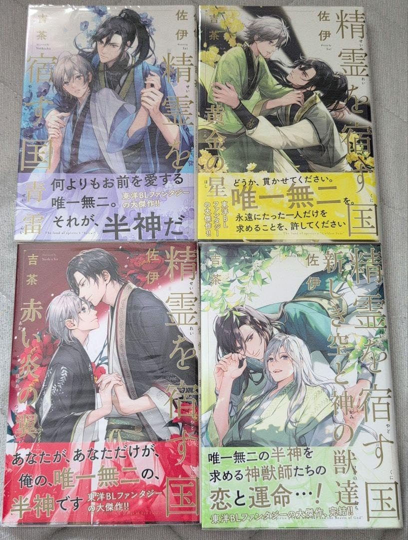 小説 精霊を宿す国 1巻?4巻