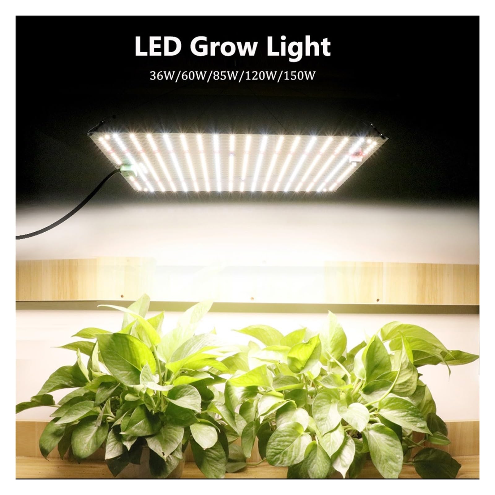 Światło do uprawy, 1000W LM282B Full Spectrum oświetlenie LED do uprawy Fitolamp oświetlenie wzrostu dla rośliny doniczkowe kwiaty nasiona szklarniowe(Rood)