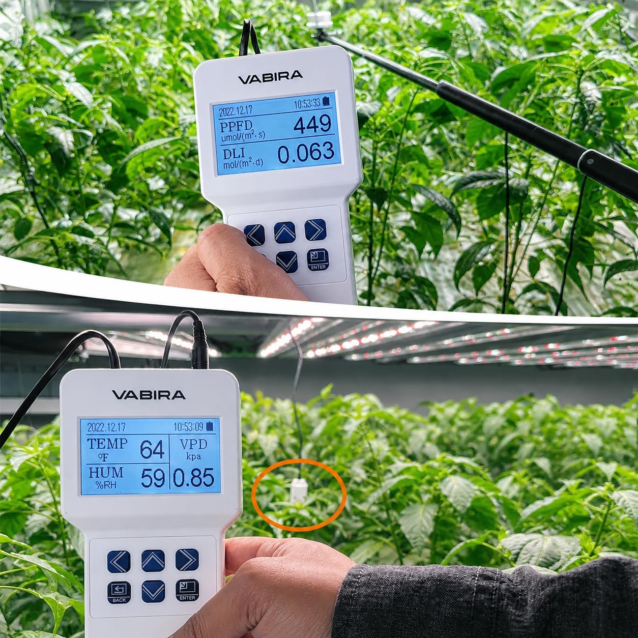 Amazon.com: VABIRA: PAR METER
