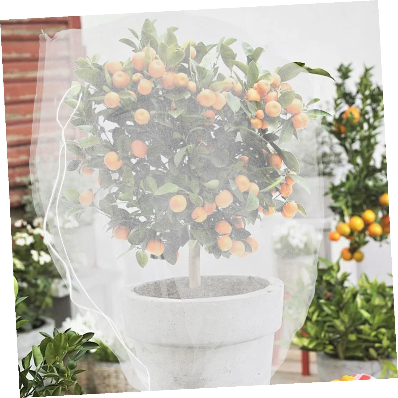 8 Piezas Bolsa de Malla para Plantas con Cordón Protectora para Árboles Frutales y Huertos Malla Fina para Jardín contra Insectos Cobertura Reutilizable para Verduras y Frutas