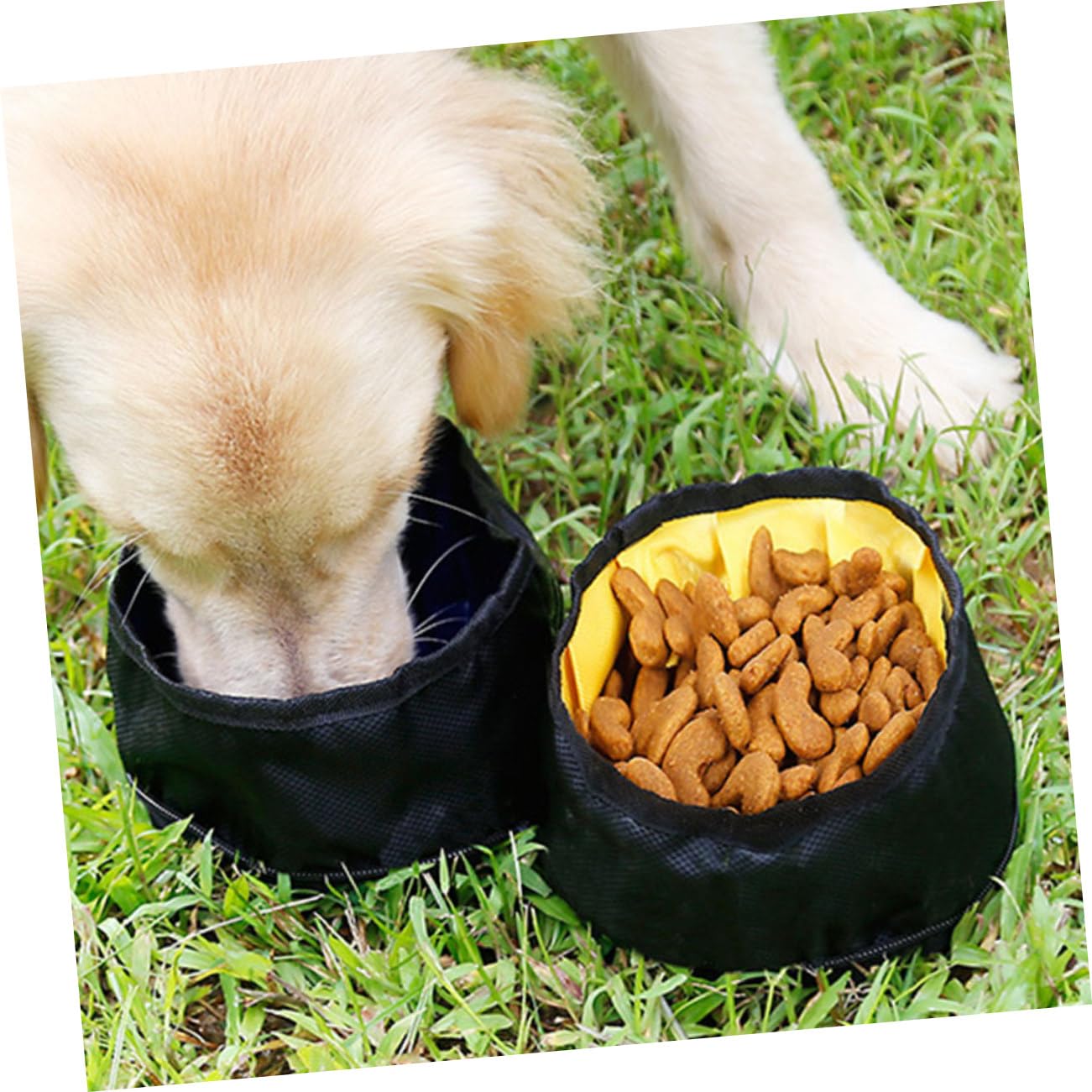 Beavorty 2pièces Gamelles Pliables pour Animaux De Deux Bol pour Nourriture Et Eau Accessoire Portable pour Voyage avec pour Chiens Et