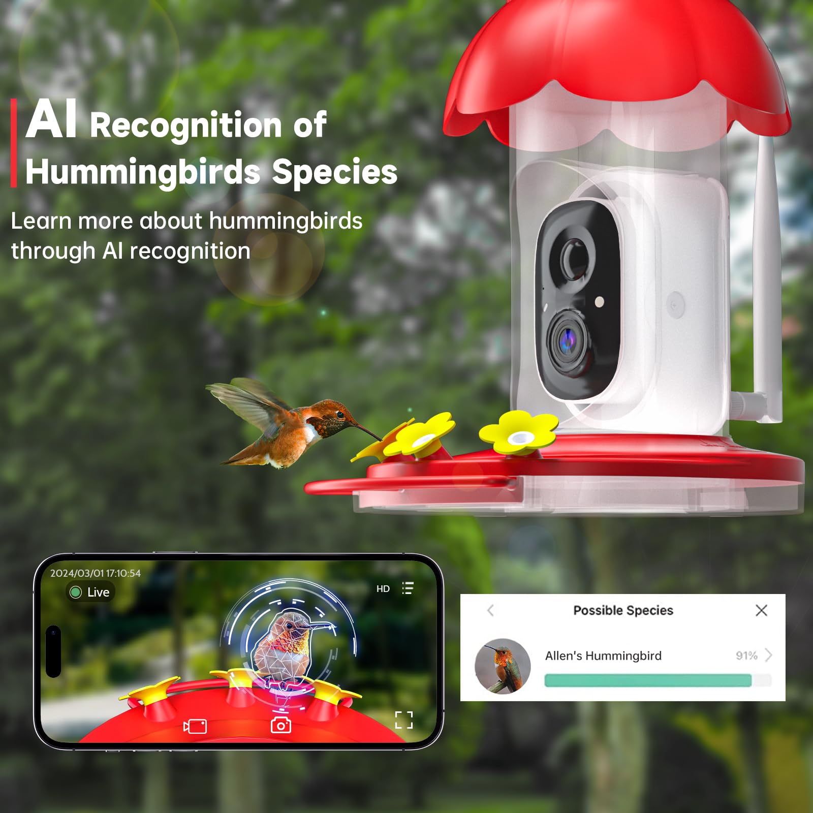 Mangiatoia Per Colibrì Con Telecamera Solare 2,5K HD – Riconoscimento AI, Visione Notturna, Fossa Antiformiche – Wi-Fi 2,4G - 5