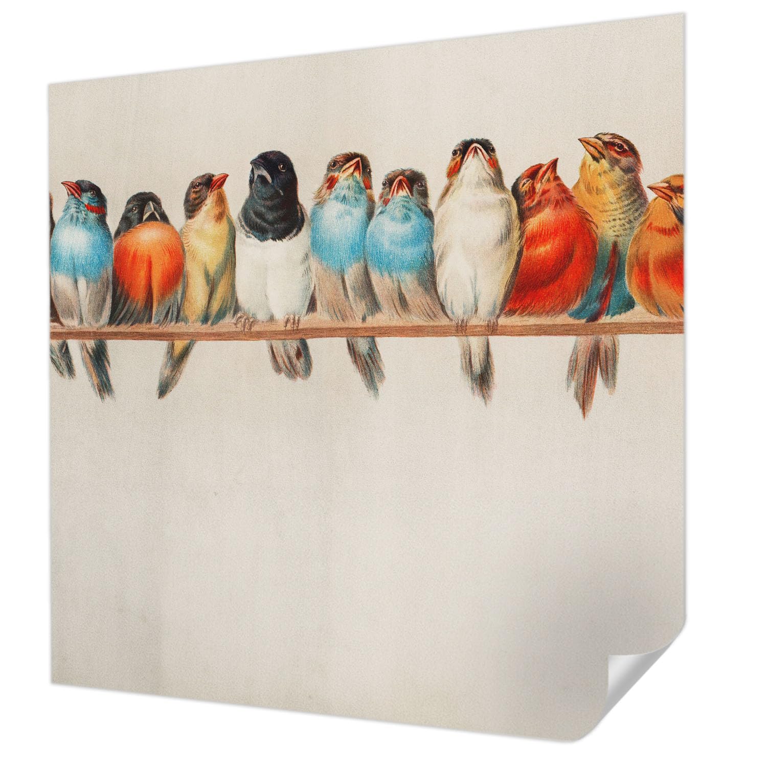 Panoramique de haute qualité Tulup avec ce décor mural adhésif oiseaux 250x250 cm
