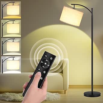 LANICHO LED Floor Lamp with Remote Control