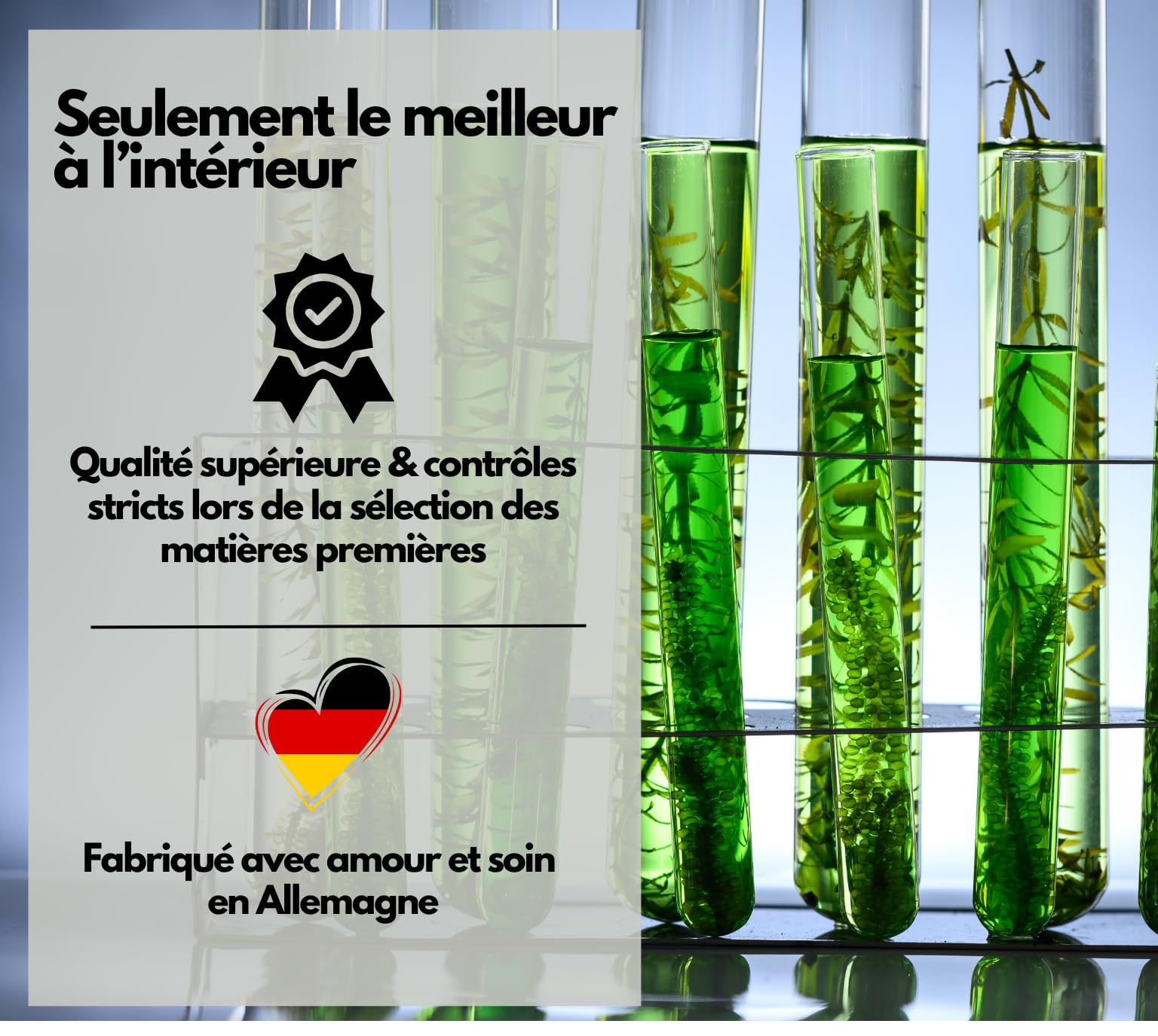 EXVital® Oméga 3 à base d'huile d'algues, végétalien, 120 gélules, 2000 mg, 600 mg de DHA et 300 mg d'EPA par jour, issu d'algues durables, hautement dosé et testé en laboratoire