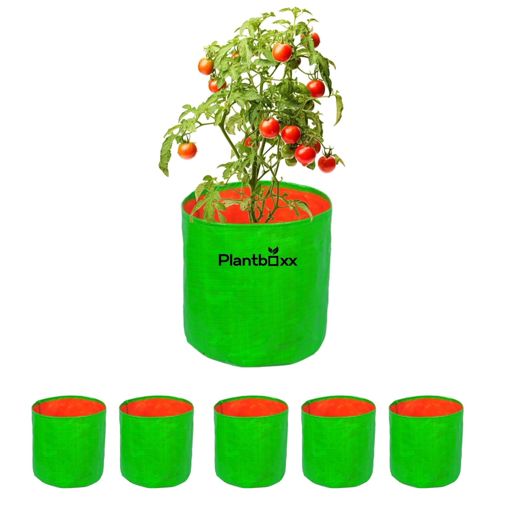 HDPE Grow Bags for Home & Terrace Gardening | UV Stabilized & Reusable 5 Pack | 230 GSM 12x12 Inch (B0CZDD74VG) Amazon Price History, Amazon Price Tracker