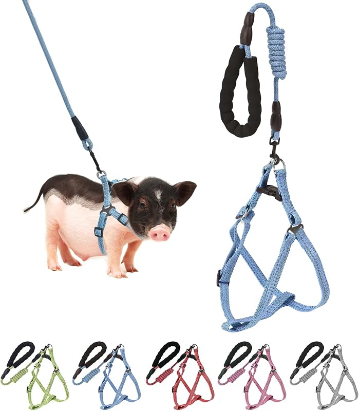 Peitoral Ajustável para Mini Porco YeeBeny com Guia e Alça de Espuma Azul, M