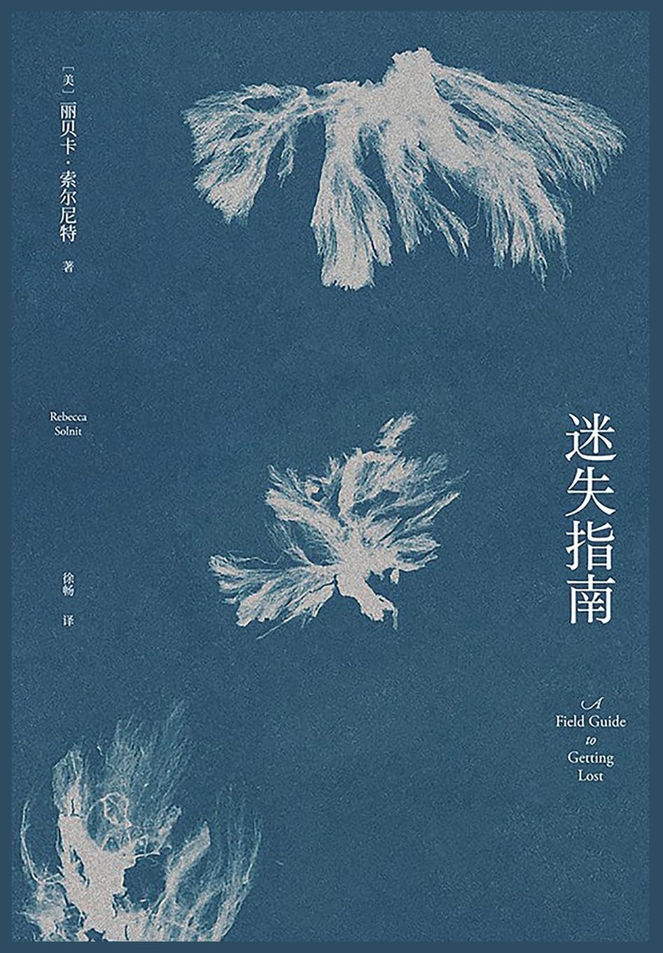 迷失指南