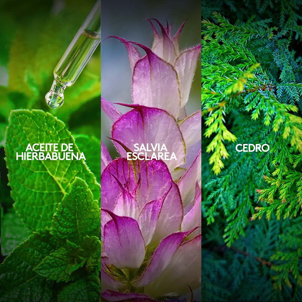 Kalos Sport Perfume de Hombre, 100 ml