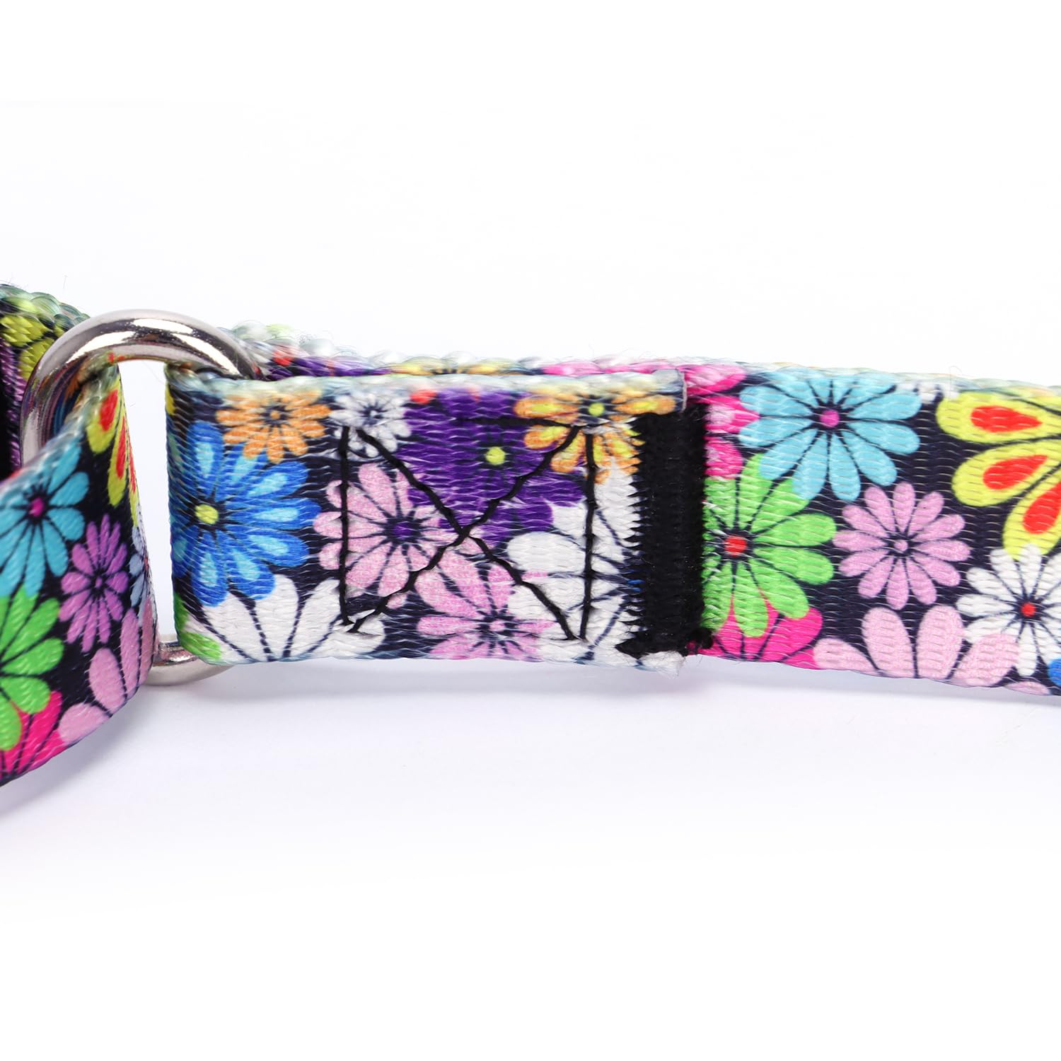 Collar Martingale Ajustable Para Perro - Nailon Resistente, Ideal Para Paseos Y Entrenamiento, Talla M (36-45 Cm)
