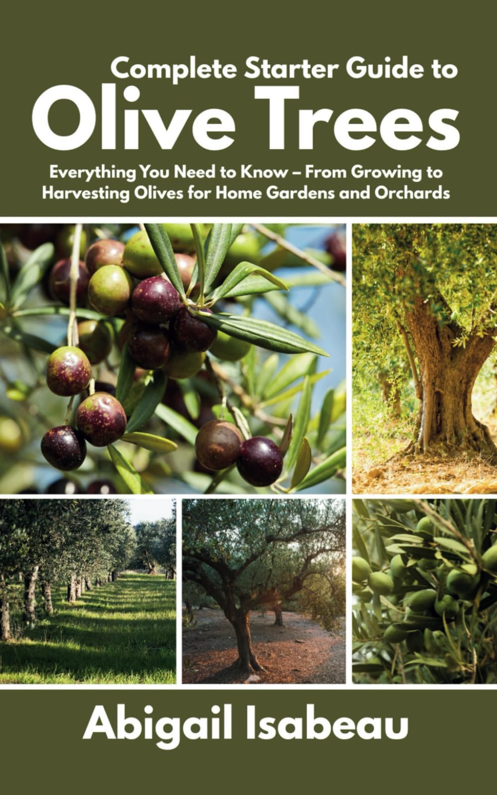 Complete Starter Guide to Olive Trees: Everything You Need to Know – From Growing to Harvesting Olives for Home Gardens and Orchards
