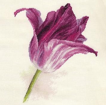 Bright Tulip Cross-Stitch kit on Aida 16 Count Canvas. Soft Violet Tulip. Cross Stitch kit by Alisa 2-44
