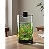 Product Photo 8