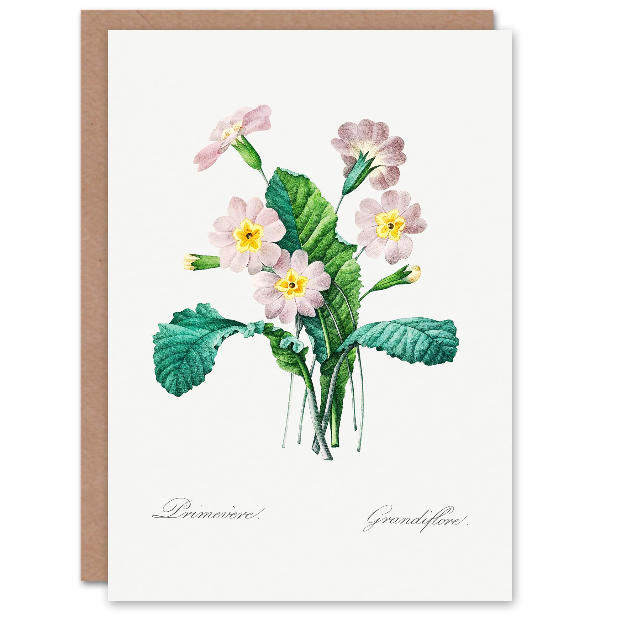 Artery8 Pierre-Joseph Redouté Art Card Primrose Vintage Floral Illustration