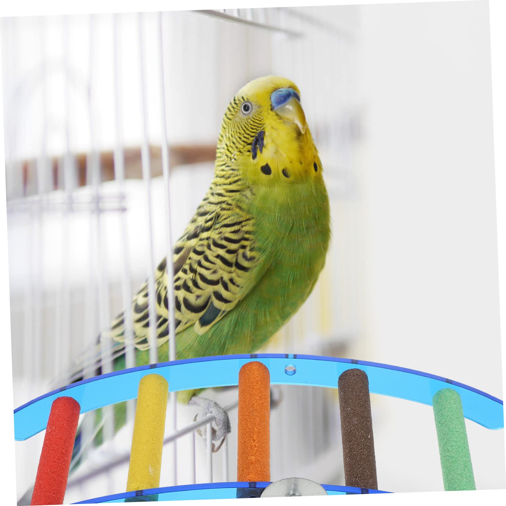 FONDOTIN 1Pc Acrylic Parrot Climbing Ladder Stand Rack Durable Bird Training for Parrot Cage Natural Material Promotes Healthy Chewing and Play for Pet Birds