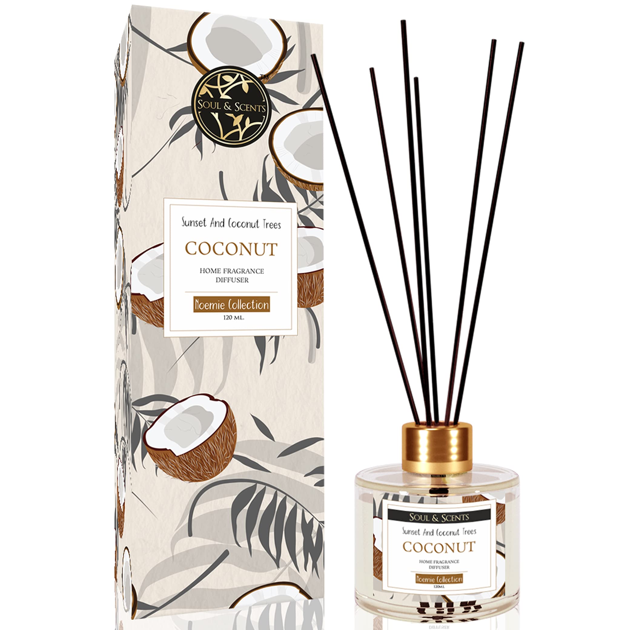 Soul & Scents 120ml Coconut Reed Diffuser Set | Free 6 Fiber Reed Sticks | Stress Relief & Aromatherapy | Long-Lasting, Smoke-Free Air Freshener for Home, Bedroom & Office | Ideal for Gifting