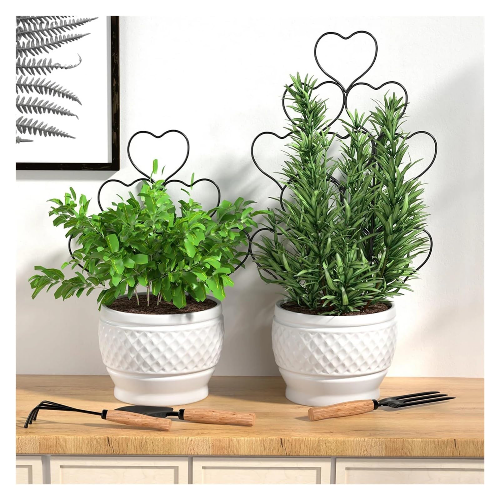 Tuteurs pour Plantes Gadgets de Jardinage for Plantes