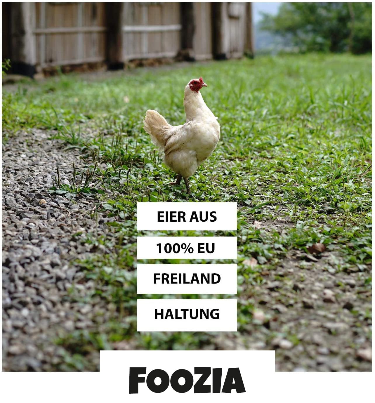 EIKLAR-FLÜSSIG 6000g (12x500g) Pures Ei-Protein aus europäischer Freilandhaltung