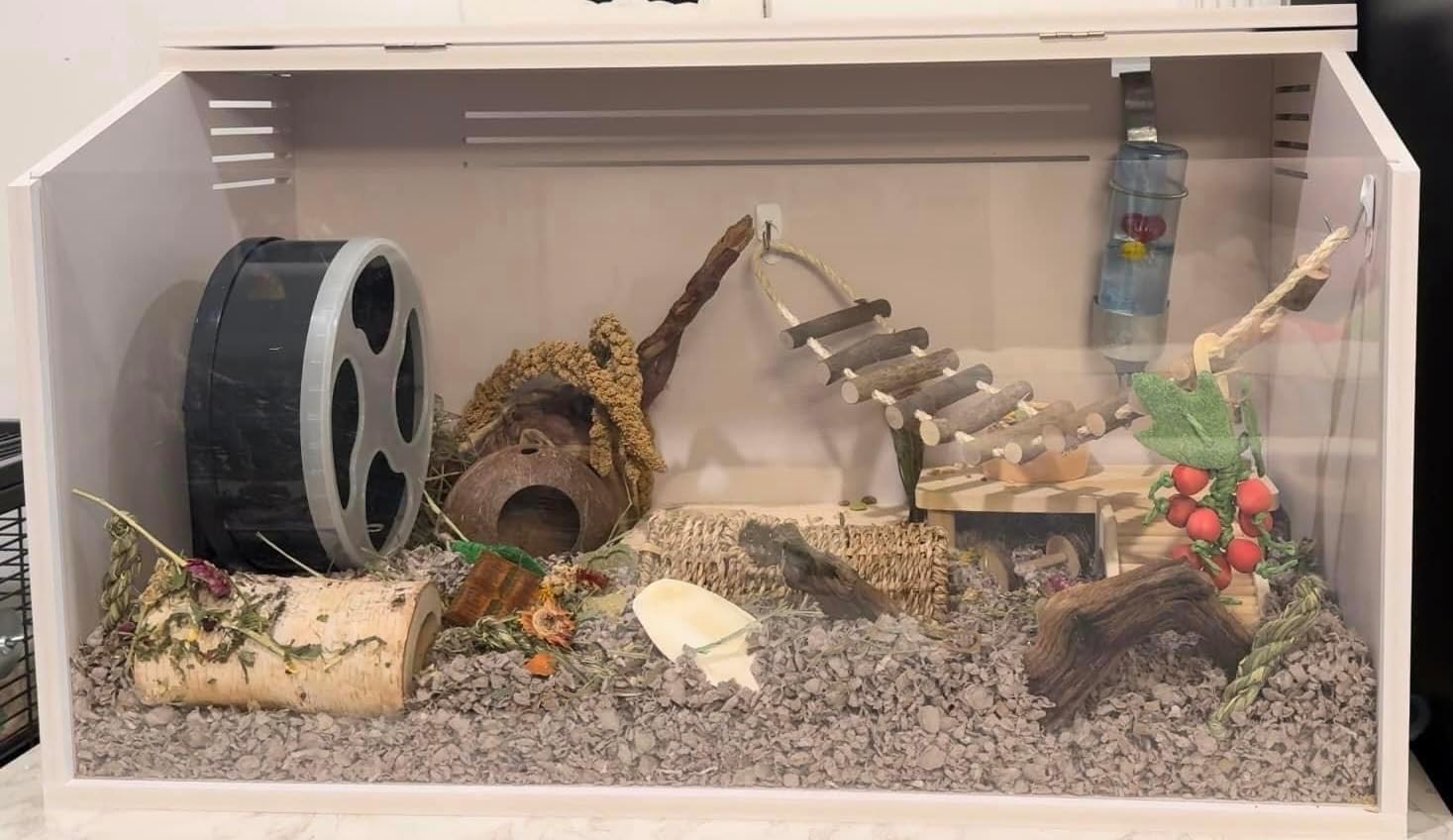 Sahara Cage - Unique & Modern Cage for Hamsters, Gerbils, Degus, Rats, Hedgehogs, Reptiles, and Other Small Animals (Small)