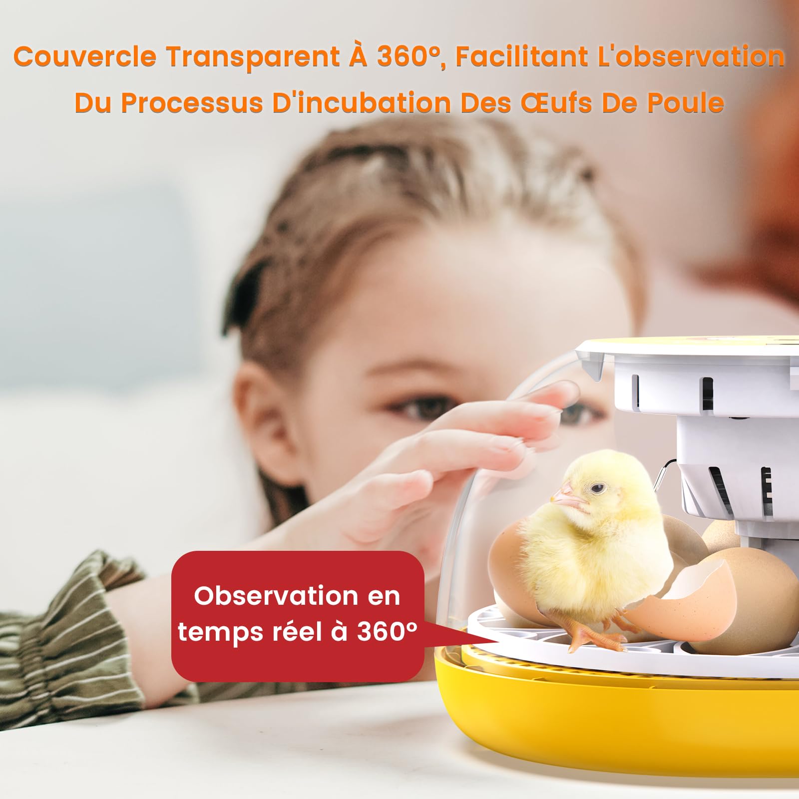 Couveuse Automatique Œufs, Incubateur pour Poussin avec Retournement Automatique des Œufs, Contrôle de la Température et Humidification Automatique, pour Oeufs de Poule, Caille et Oies (12 œufs)