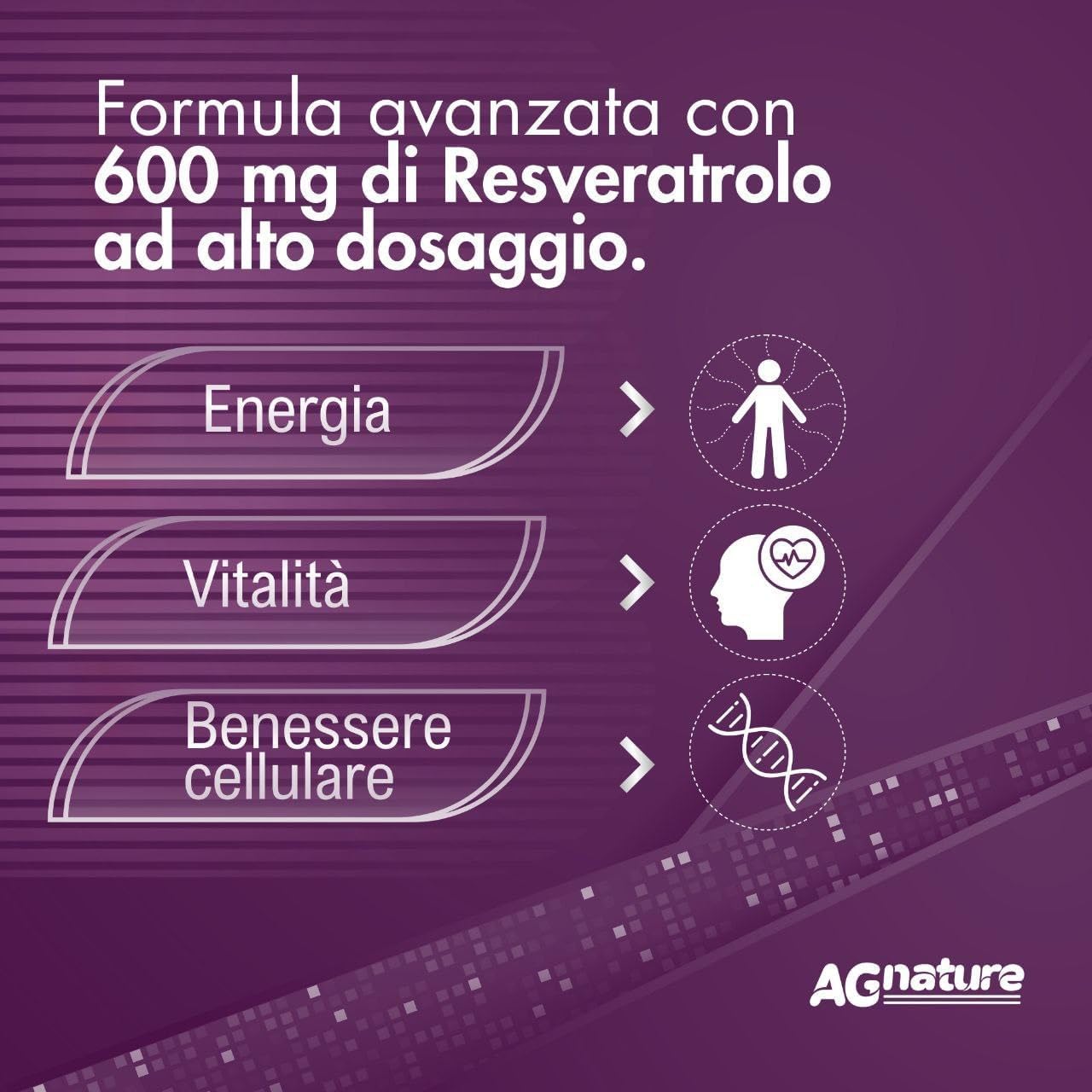 Trans-Resvératrol 600 mg Antioxydant Pur – 90 Comprimés avec NAD, Quercétine, Pipérine, Acide Alpha-Lipoïque et Astragale