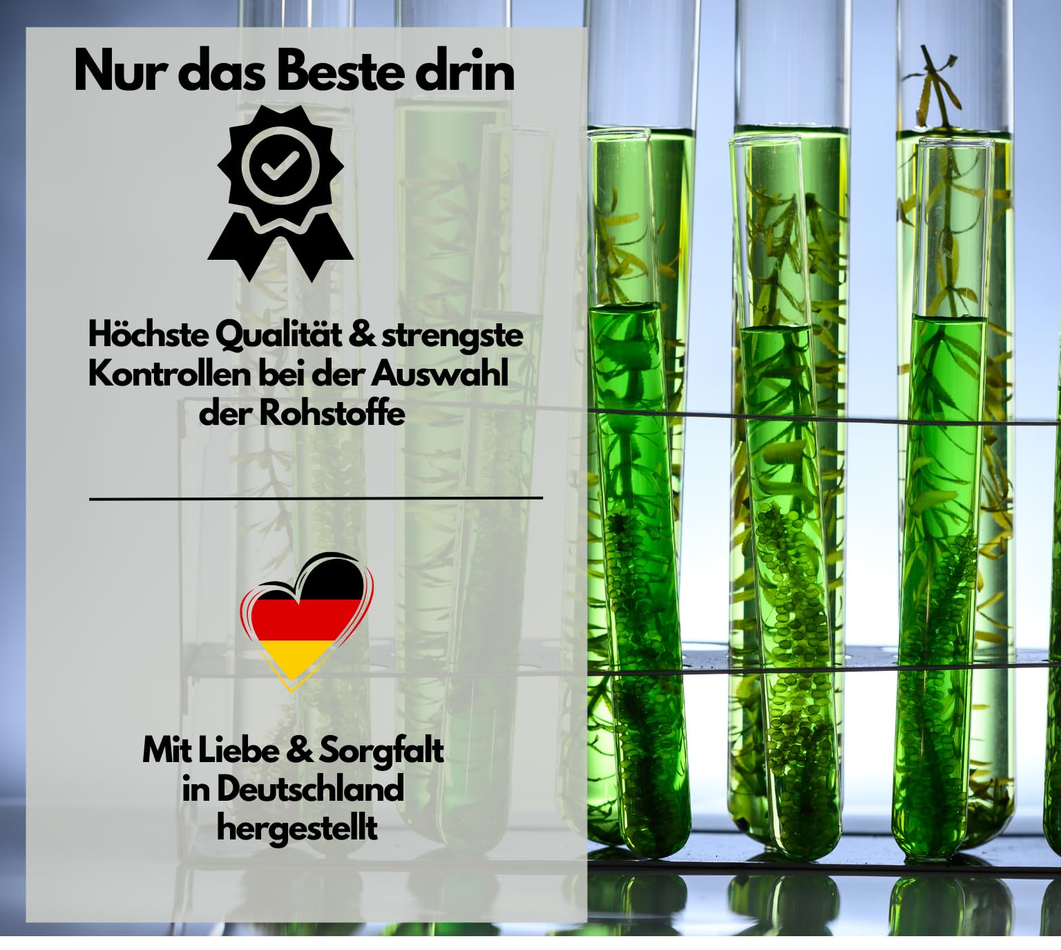 Omega 3 vegan + D3 & K2, 120 Kapseln, 1100mg Algenöl mit 600mg DHA & 300mg EPA + 1000 IE Vitamin D3 + 40 µg Vitamin K2 - O3 D3 K2, hochdosiert & laborgeprüft