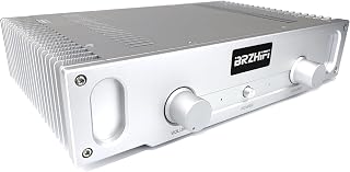 BRZHIFI A1S Pure Class A Hi-Fi Power Amplifier 20W×2 2.0 Channel Stereo Home Audio Amp(Silver) Price In India