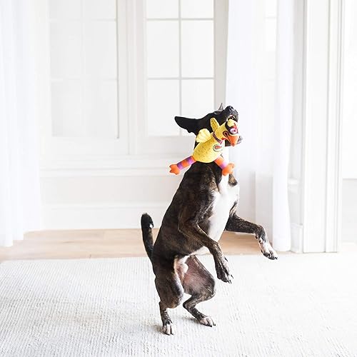 Miniatura 3 de FAT CAT Juguetes para perros - Juguete de peluche para perros Barnyard Bullies, fabricado con lona resistente e incluye chirriante