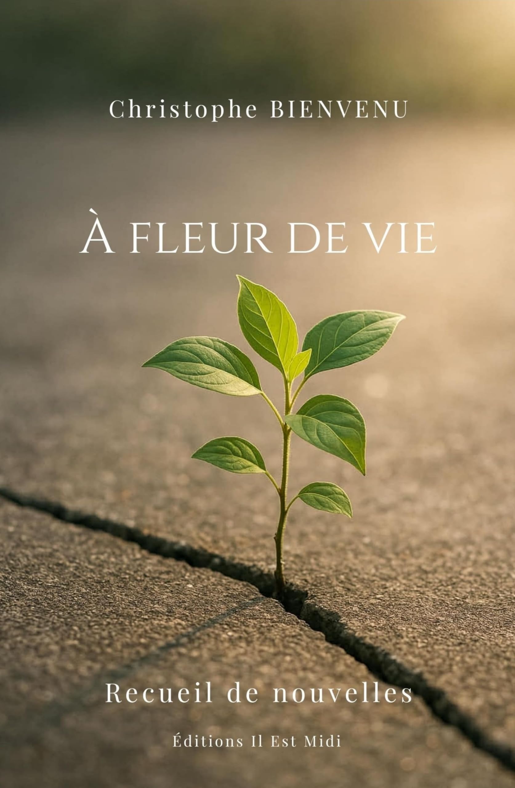 À FLEUR DE VIE: Recueil de nouvelles