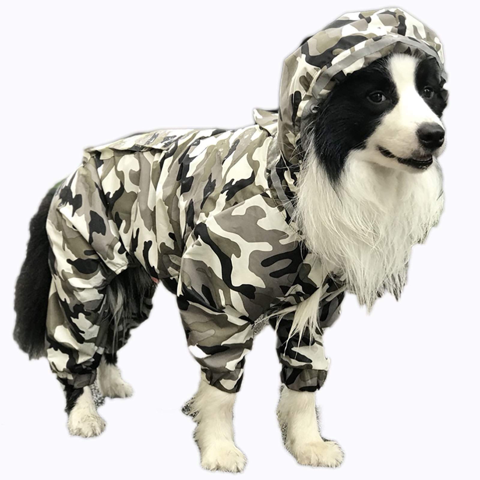 Imperméable pour chien 4XL résout le problème du pelage mouillé et sale
