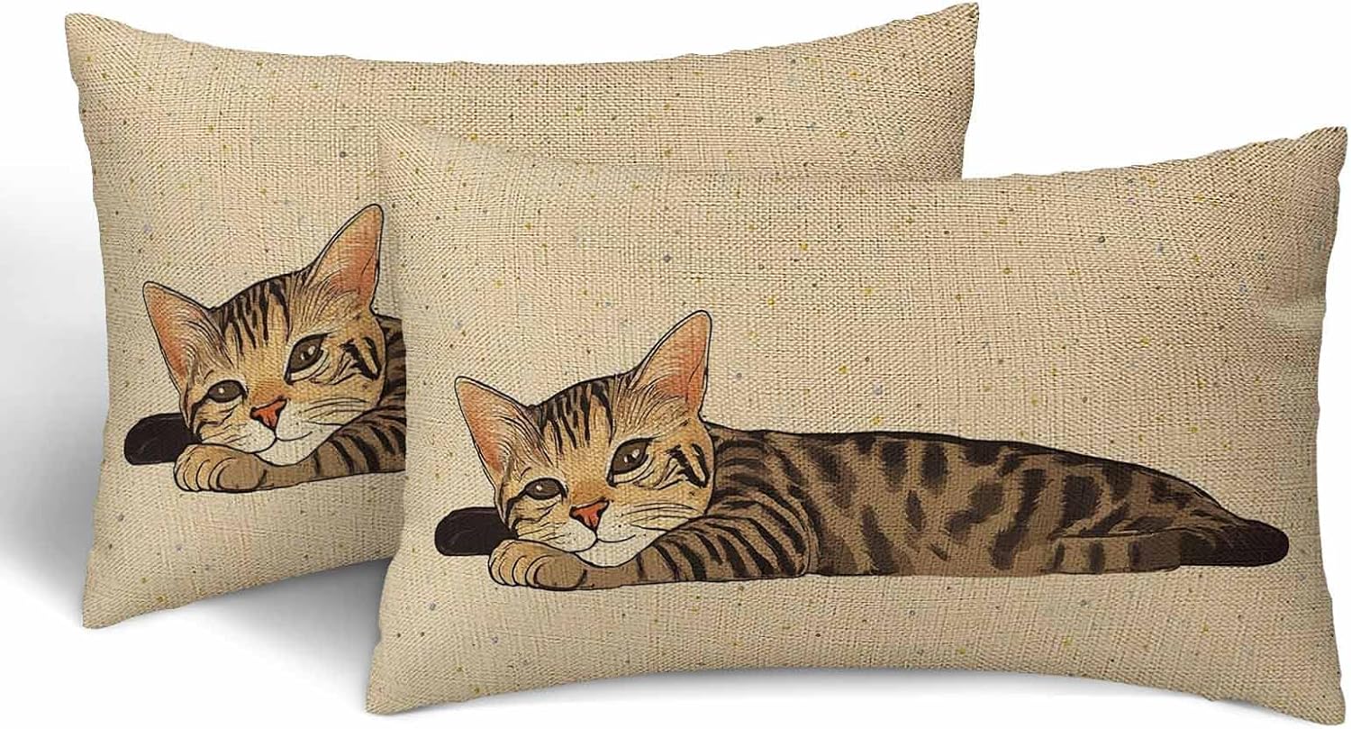 Cute Cat Brown Pillow Cases Animal Lying Down Lazy Gesture Relax Sleepy Face Funny Linen Pillow Covers 12x20 Set of 2 Decorative Throw Pillowcases Zipper for Couch Sofa Bed Living Room Home