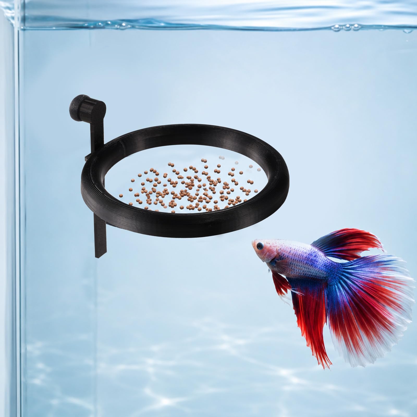 BOXOB Magnetic Fish Feeding Ring, Floating Aquarium Food Feeder (Black)