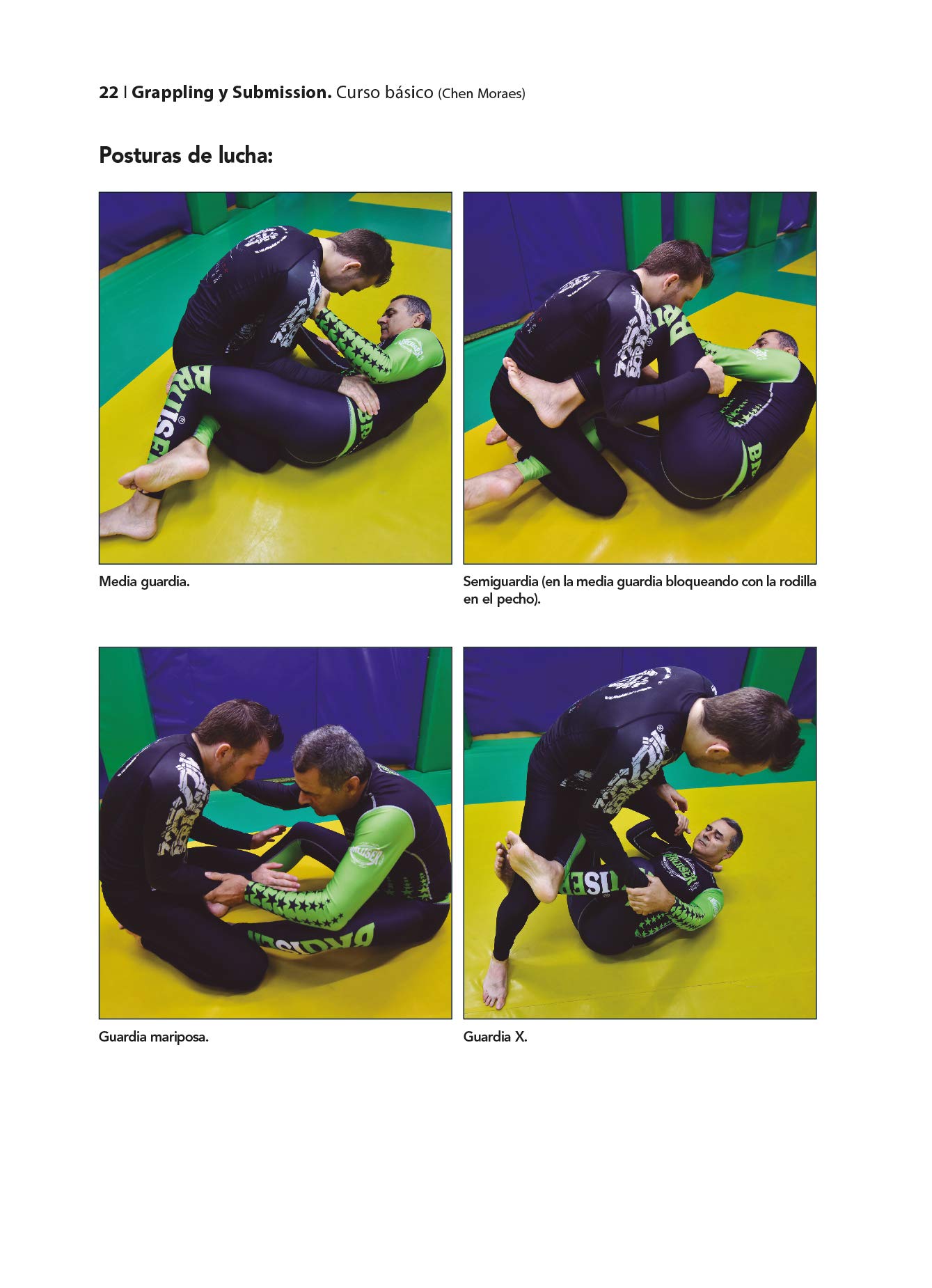 Grappling y Submission (curso básico) (ARTES MARCIALES)